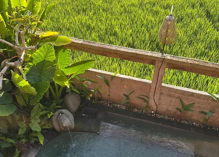 Aditara Sebatu *